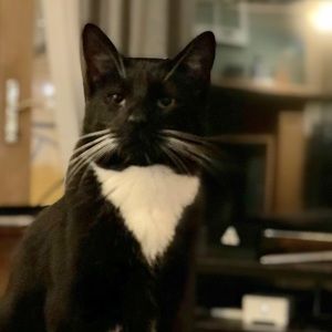 Meet your Posher, Jonathan